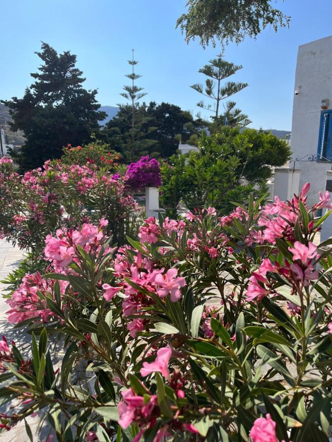 Sea Views - Marble Palace - 2 Floors Tinos Exterior photo